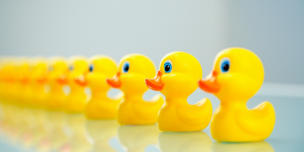 What Are Your Financial “Ducks” and Why Should They Be in a Row? - Private  Client Wealth Advisors